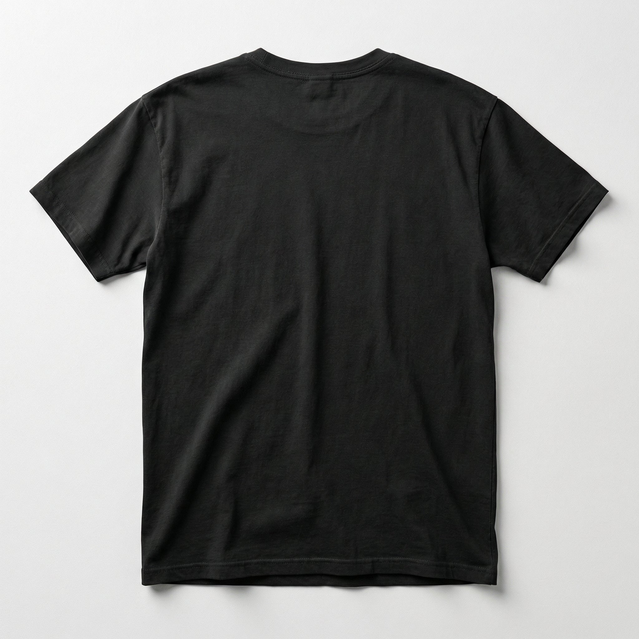 One Nation One 250th - America 250 T-shirt